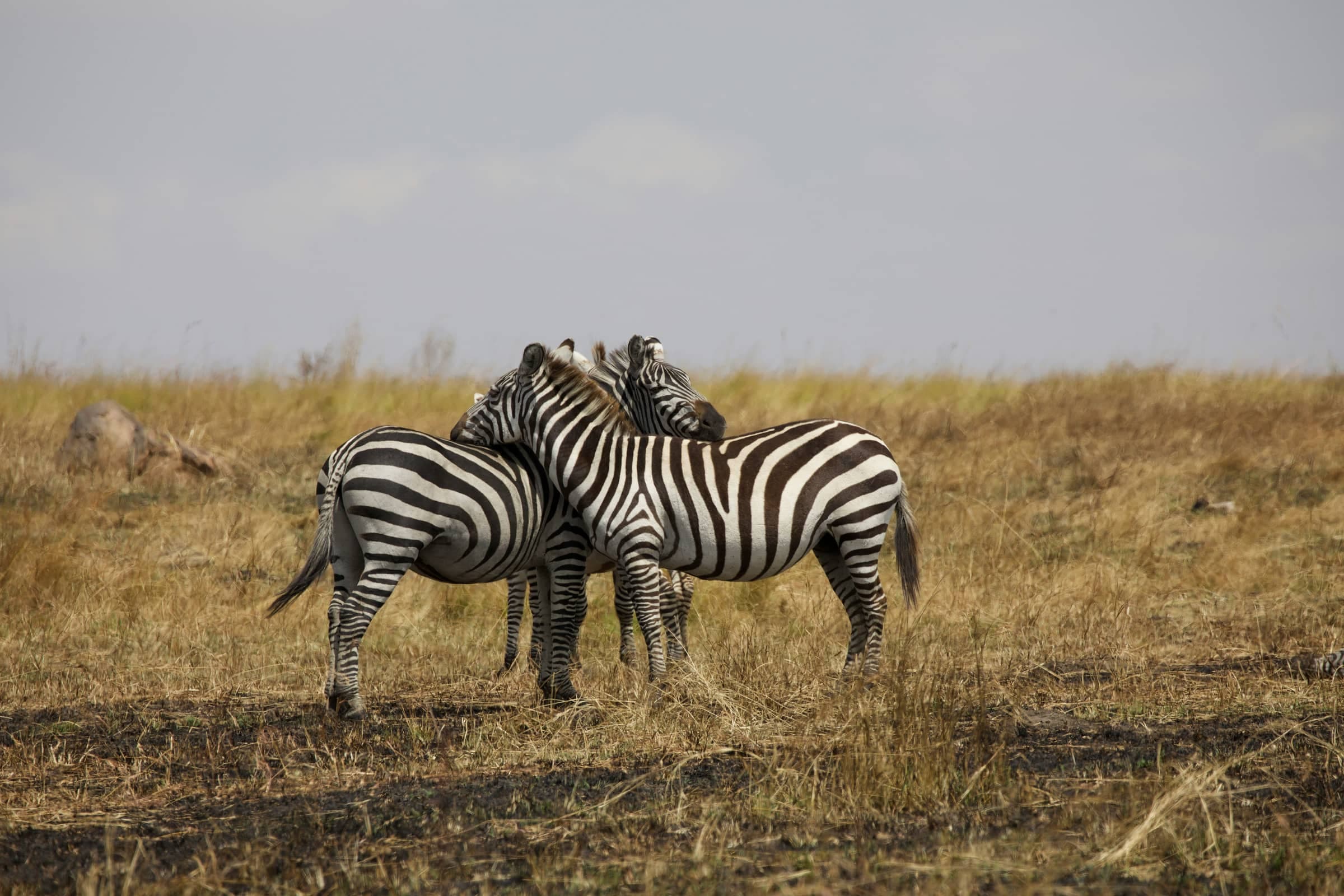 Ultimate Tanzania Expedition