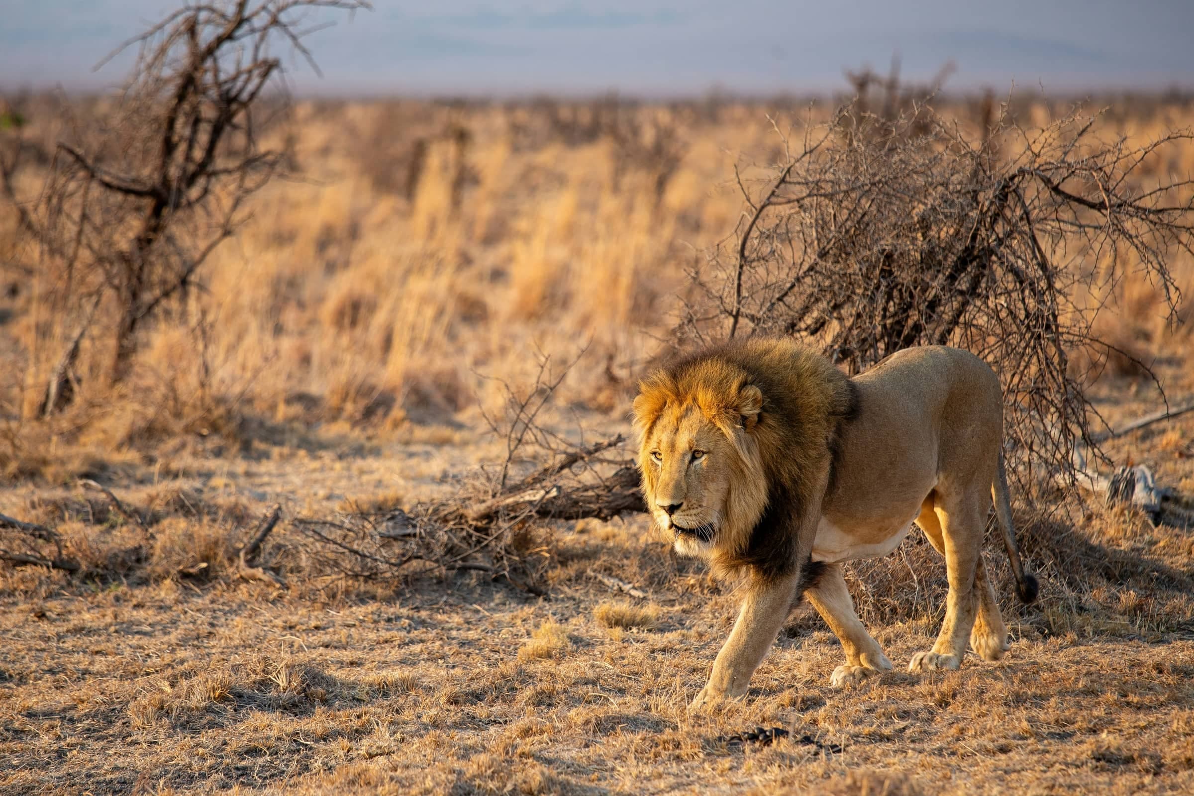 Kenya