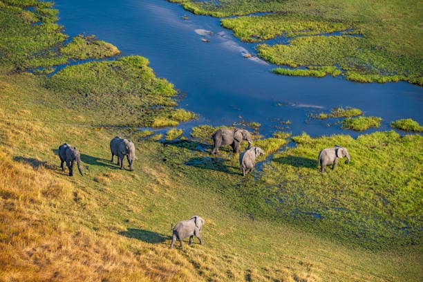 Okavango Delta