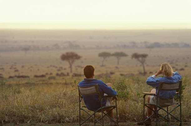 Meet the Guardians of Your Safari Dream