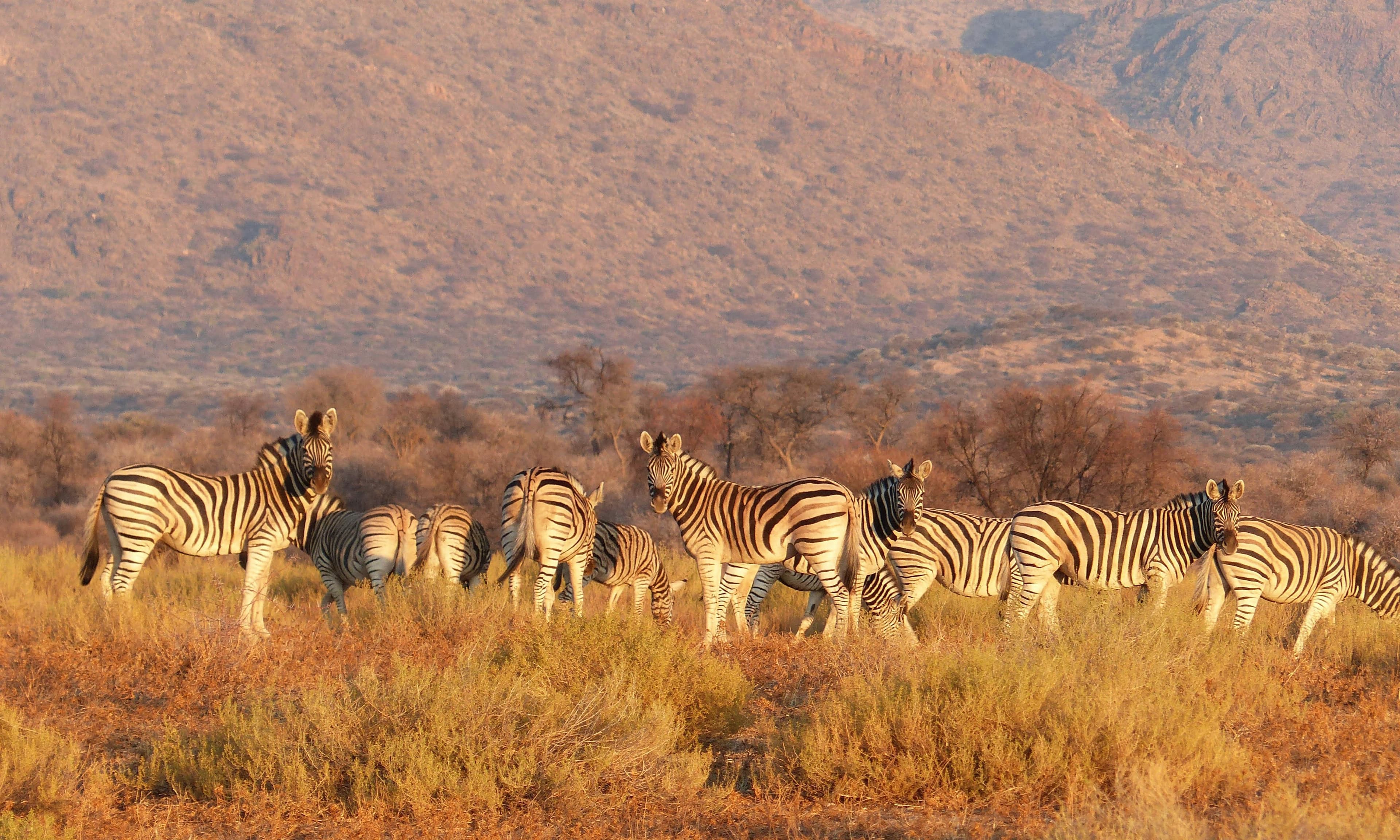 Section header image