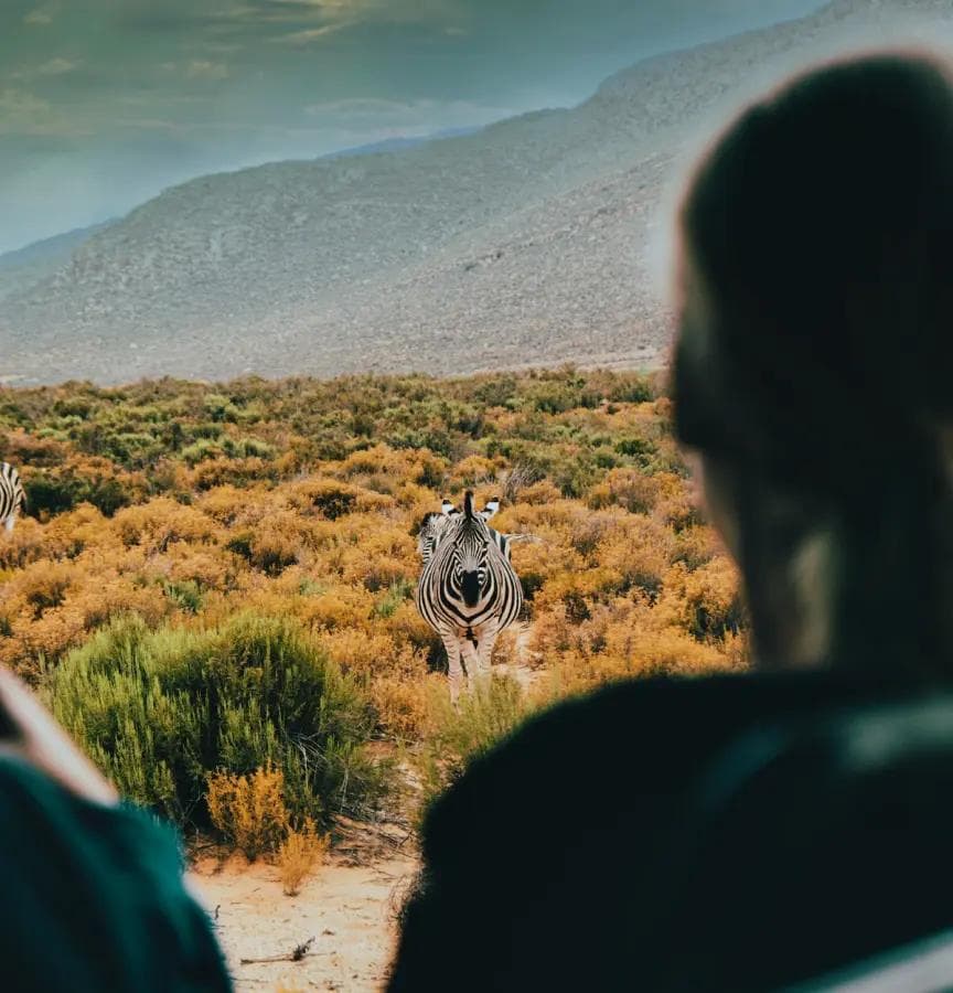 Masai Mara Classic Safari